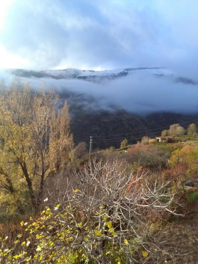 La Locana Daire Bubión Dış mekan fotoğraf